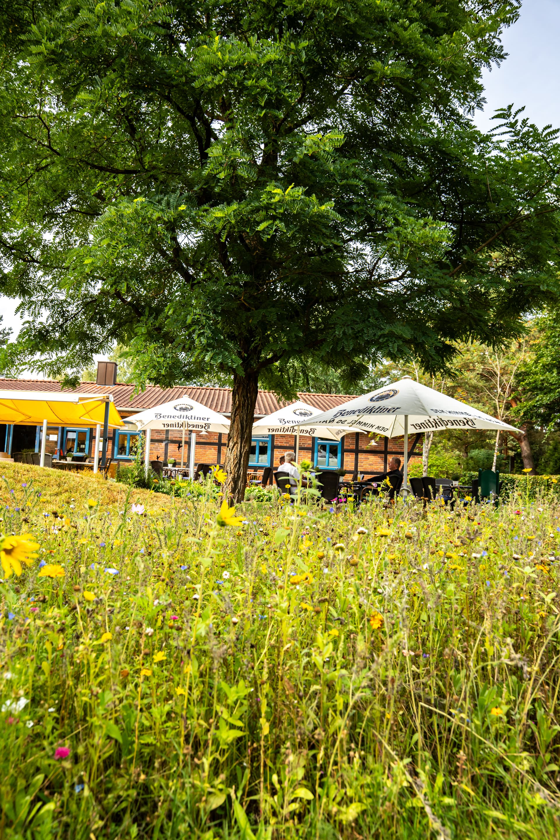 Blumenwiese und Terrasse unter einem großen Baum