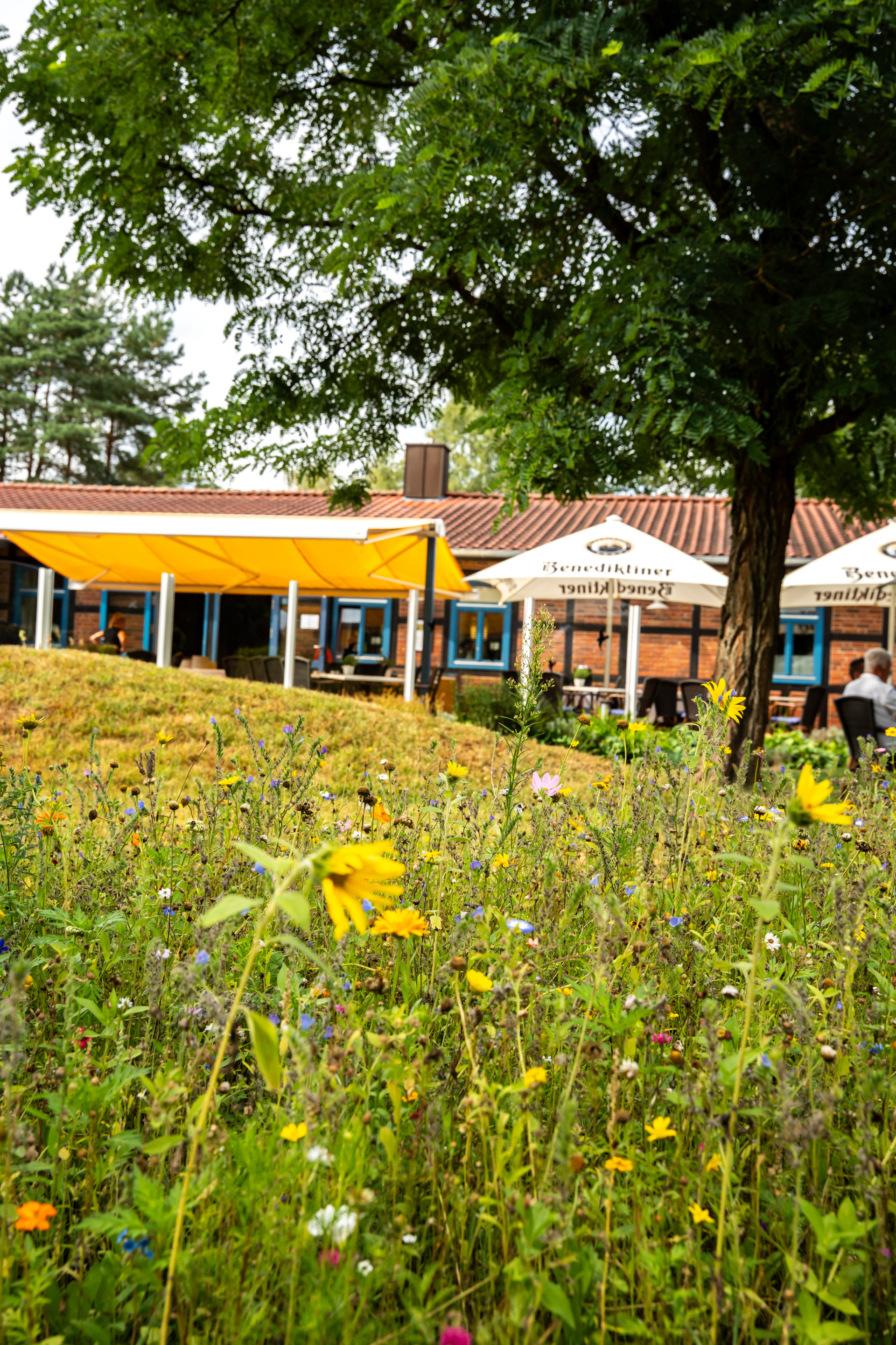 Blumenwiese vor der Terrasse des Restaurants am Golfplatz